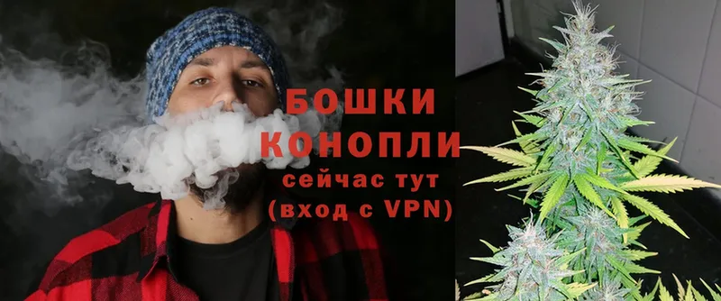 Канабис SATIVA & INDICA  где найти наркотики  Шадринск 